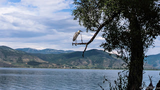Jul&Gaux SerialHikers autostop hitchhiking aventure adventure alternative travel voyage volontariat volonteering kastoria lake lac oiseau bird greece grece