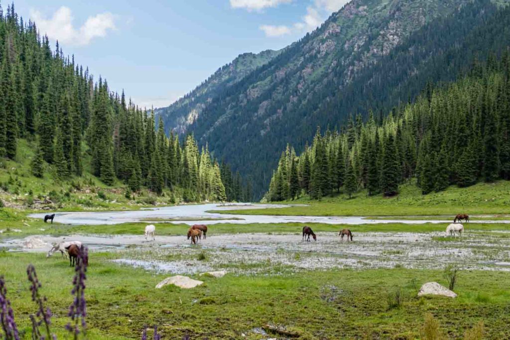 SerialHikers stop autostop world monde tour hitchhiking aventure adventure alternative travel voyage sans avion no fly kirghizistan kyrgyzstan ala kul karakol randonnée hike