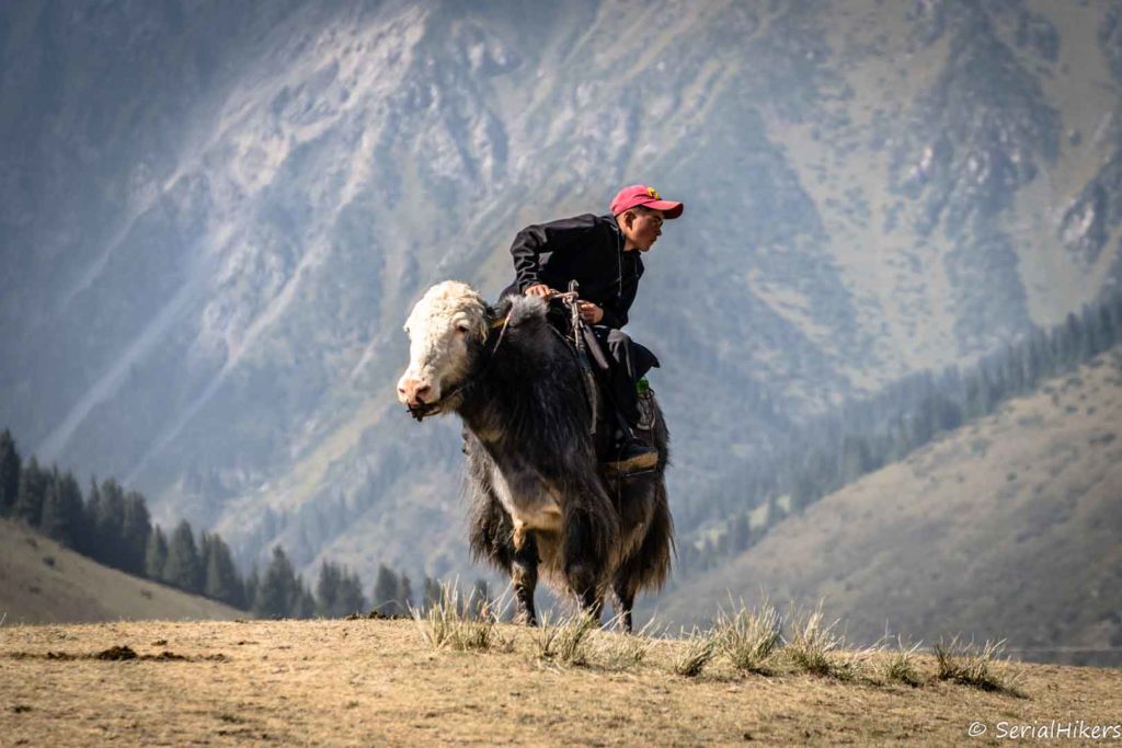 World Nomad Games Kirghizstan jeux mondieuax backpacking Jul&Gaux SerialHikers autostop hitchhiking aventure adventure alternative travel voyage volontariat volonteering Kyrgyzstan horse cheveaux camping