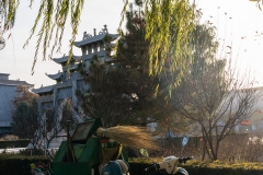 2018-11-08_zhangye-022