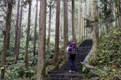 2018-12-02_zhangjiajie-park-001