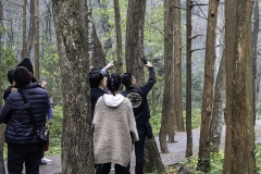 2018-12-02_zhangjiajie-park-005