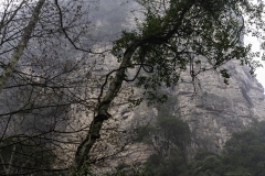 2018-12-02_zhangjiajie-park-016