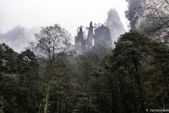 2018-12-02_zhangjiajie-park-017