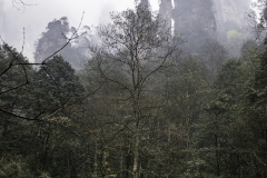 2018-12-02_zhangjiajie-park-018