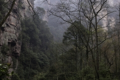 2018-12-02_zhangjiajie-park-019