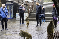 2018-12-03_zhangjiajie-park-006