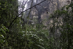 2018-12-03_zhangjiajie-park-016