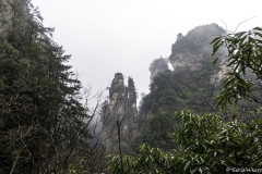 2018-12-03_zhangjiajie-park-017