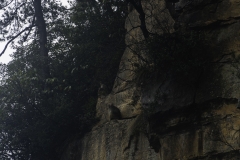 2018-12-03_zhangjiajie-park-022