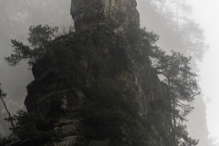 2018-12-03_zhangjiajie-park-023