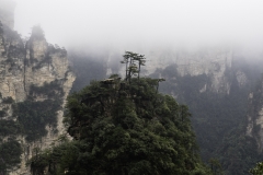 2018-12-03_zhangjiajie-park-026