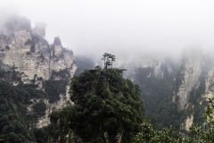 2018-12-03_zhangjiajie-park-027