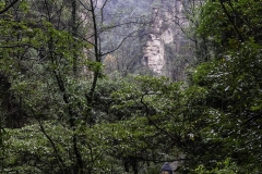 2018-12-03_zhangjiajie-park-028