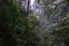 2018-12-03_zhangjiajie-park-035