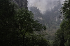 2018-12-03_zhangjiajie-park-038