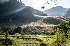 2019-01-16_vangvieng005