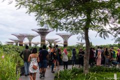 2019-04-27_singapour003