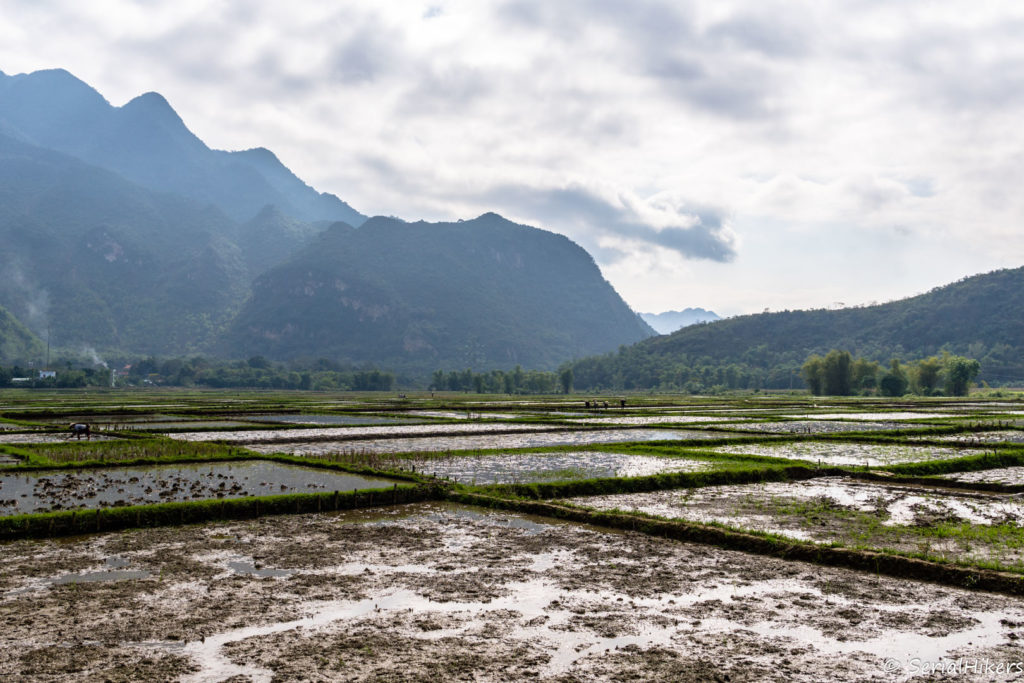 backpacking Jul&Gaux SerialHikers stop autostop world tour hitchhiking aventure adventure alternative travel voyage volontariat volonteering vietnam mai chau rizieres rice fields