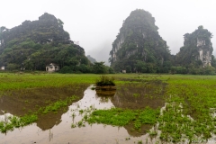 2019-01-10_ninh-binh002