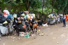 2019-01-10_ninh-binh009